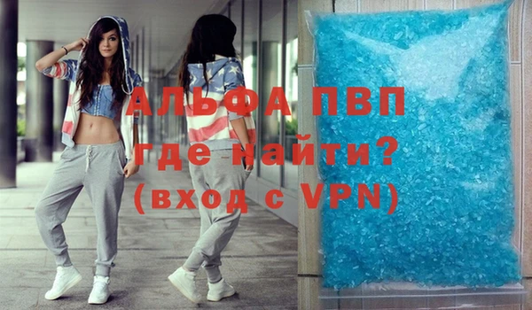 стаф Алексин