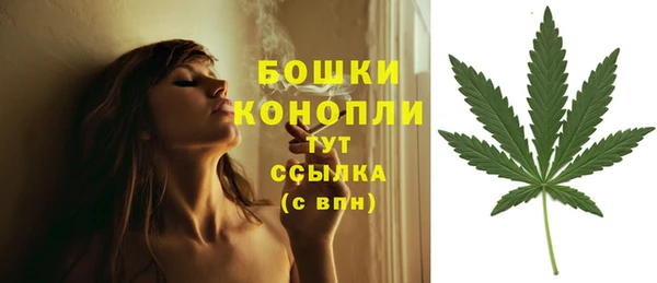 дмт Беслан