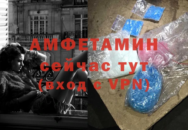 стаф Алексин