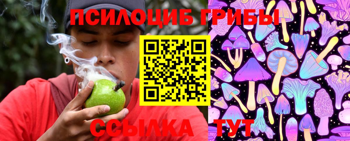 Октябрьский  Галлюциногенные грибы прущие грибы  наркошоп  Псилоцибиновые грибы прущие грибы  Вход с VPN 
