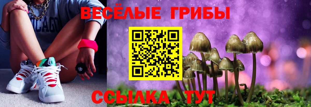 Галлюциногенные грибы Cubensis Октябрьский
